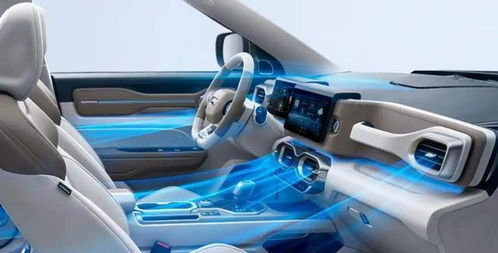 以為只是買輛家用車，沒(méi)想到就這樣擁有了健康出行生活