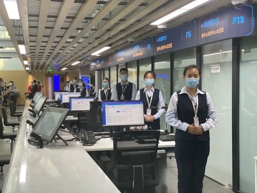 北京城市副中心政務(wù)服務(wù)中心下周正式開廳運(yùn)行，提供高效信息技術(shù)咨詢服務(wù)