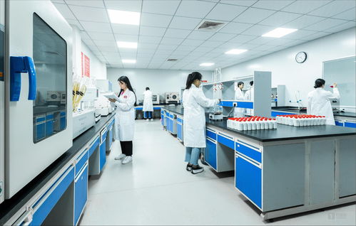 白酒科技賦能微生物服務 茅臺鎮國臺酒的現代化啟示