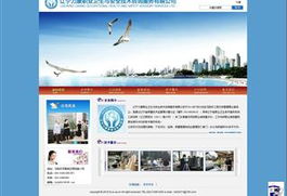 服務行業網站建設與設計 信息技術咨詢服務的實踐與案例